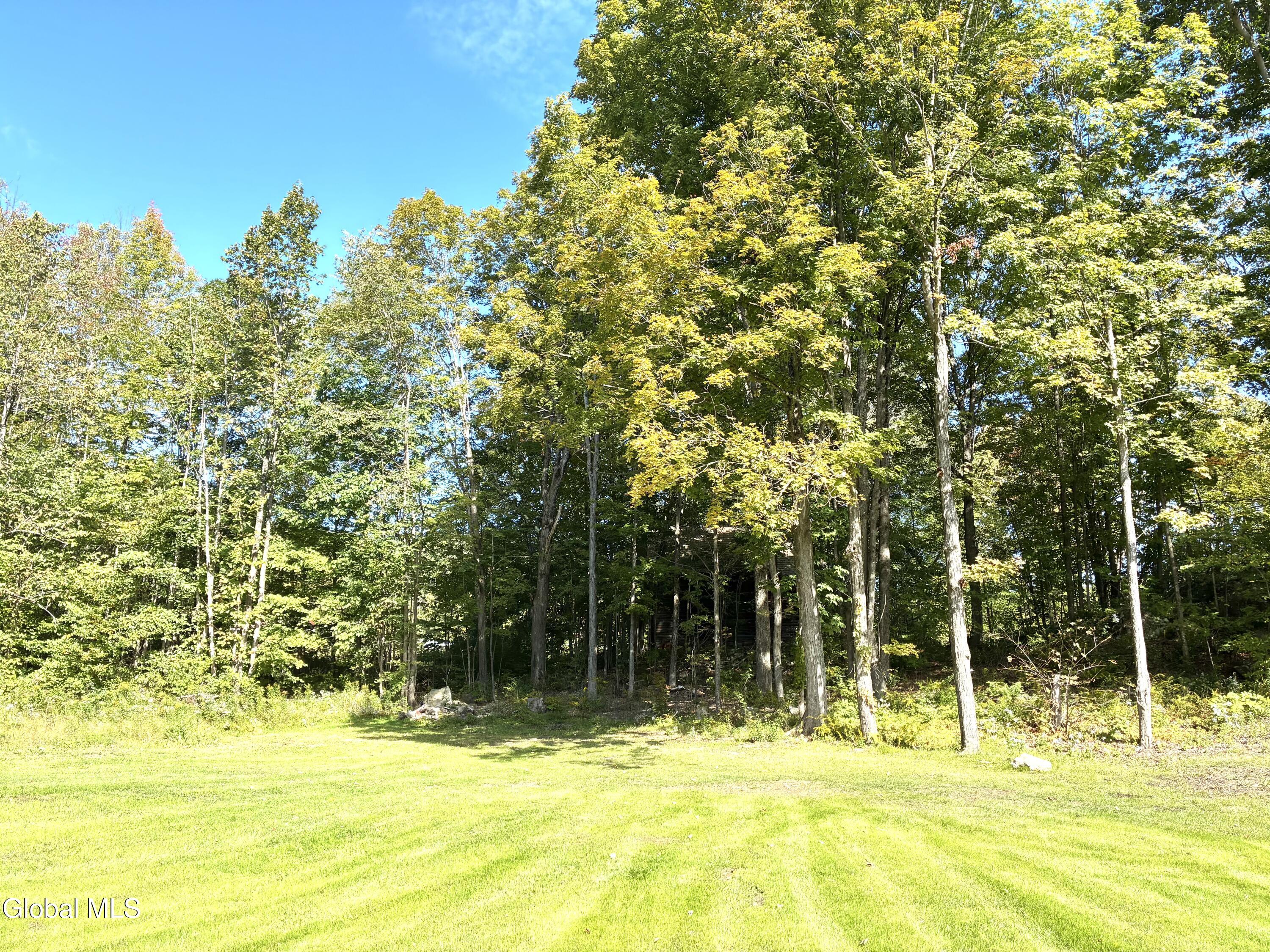 14073 New York 22 Clemons NY 12819