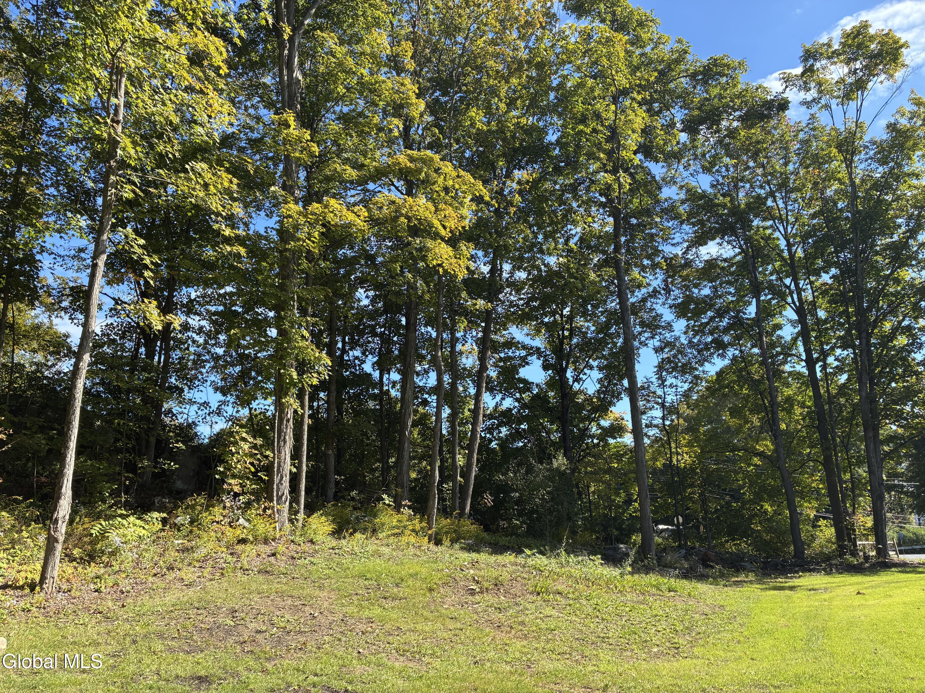 14073 New York 22 Clemons NY 12819