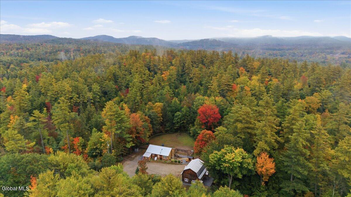 8480 U.s. 9 Lewis NY 12950