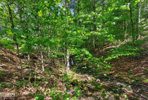 52 Clay Hill Road Fort Ann NY 12827