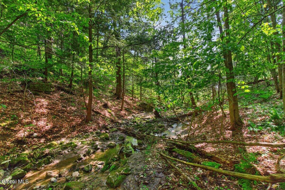 52 Clay Hill Road Fort Ann NY 12827