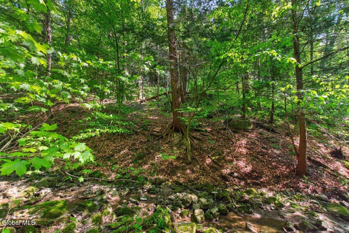 52 Clay Hill Road Fort Ann NY 12827