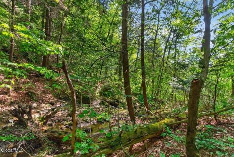 52 Clay Hill Road Fort Ann NY 12827