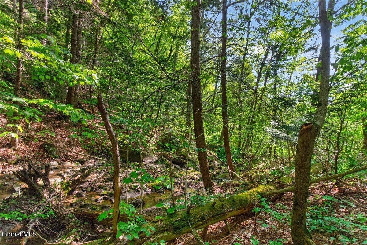 52 Clay Hill Road Fort Ann NY 12827