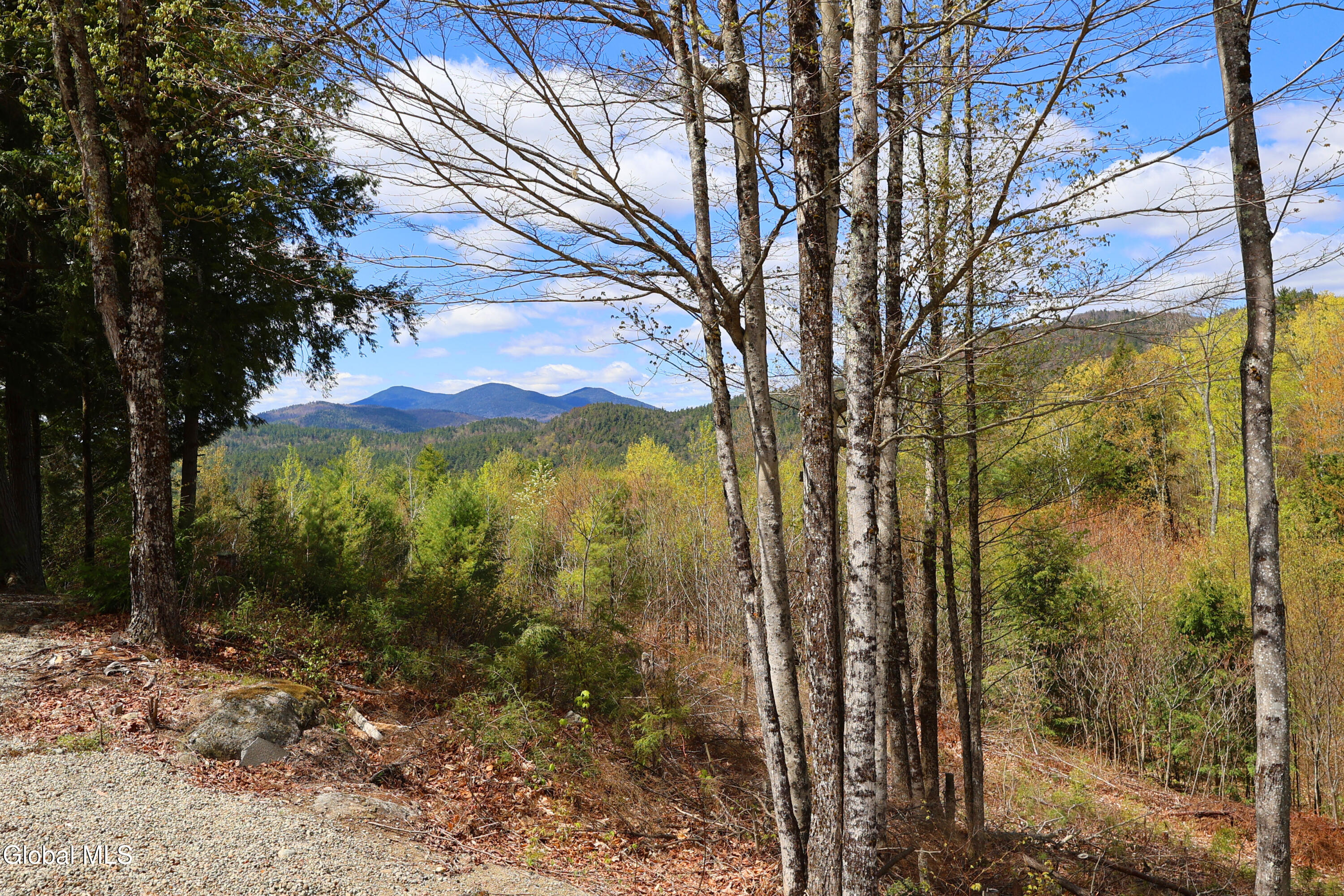 71 Hyatt Heights Way North Hudson NY 12855