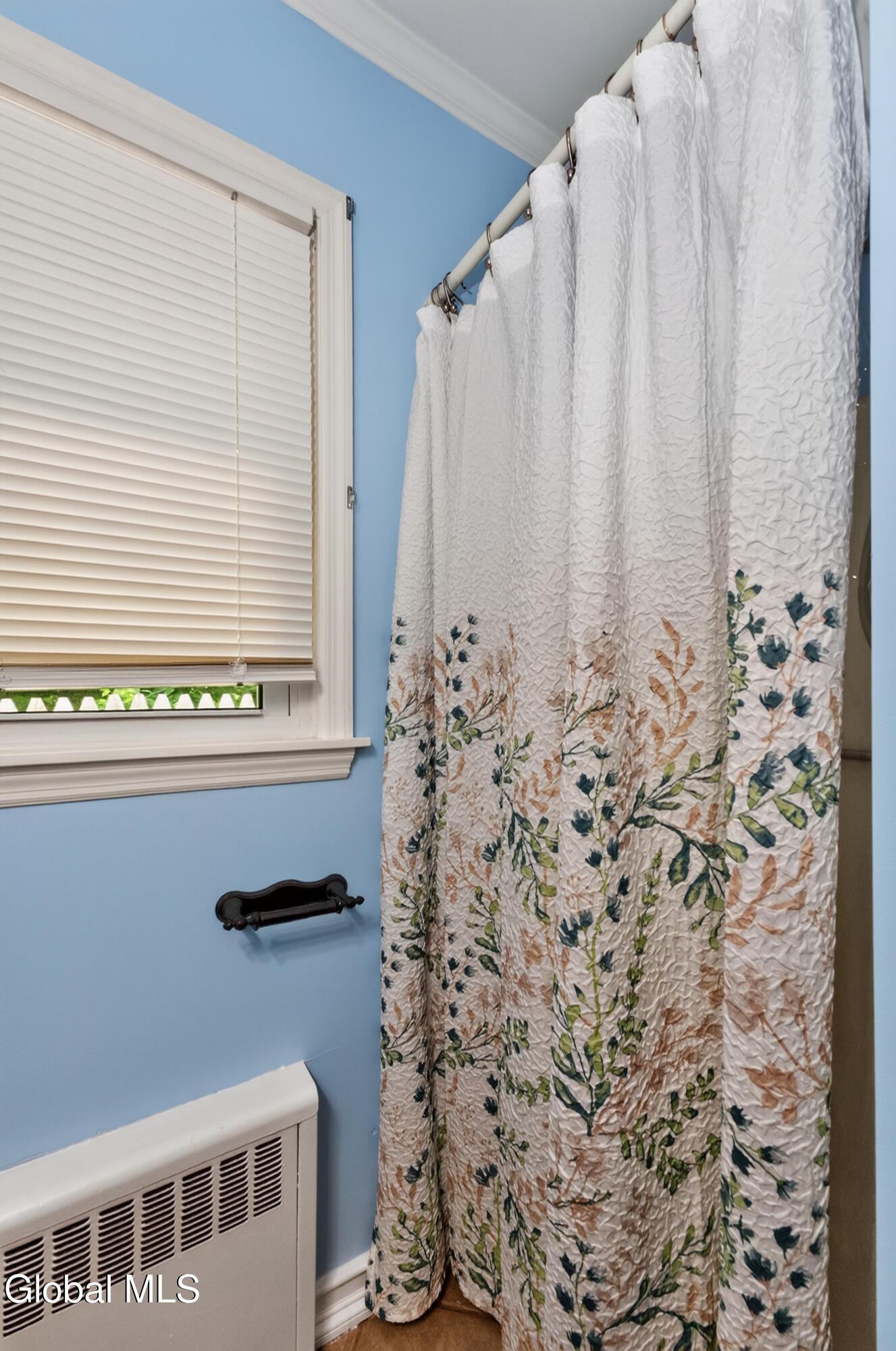 11 Leach Avenue Albany NY 12205