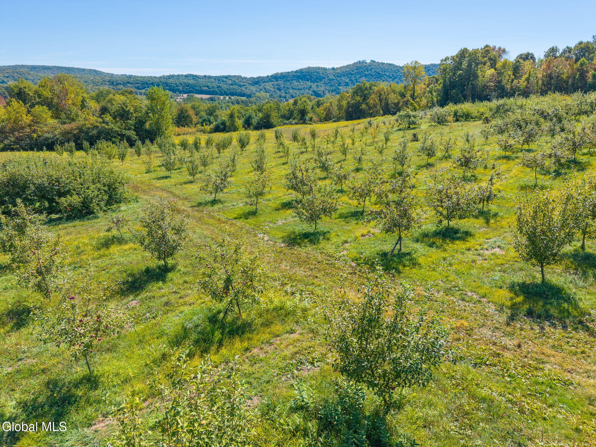 5635 Ny-40 Argyle NY 12809