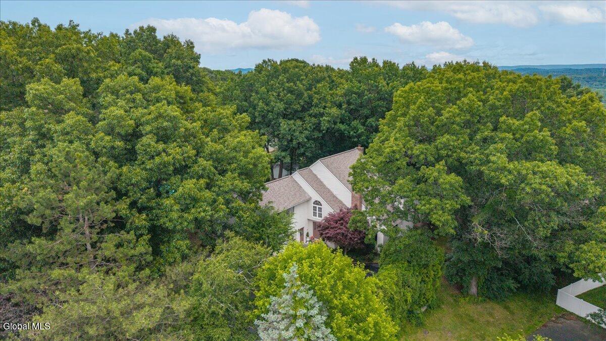 4 Spyglass Hill Menands NY 12204