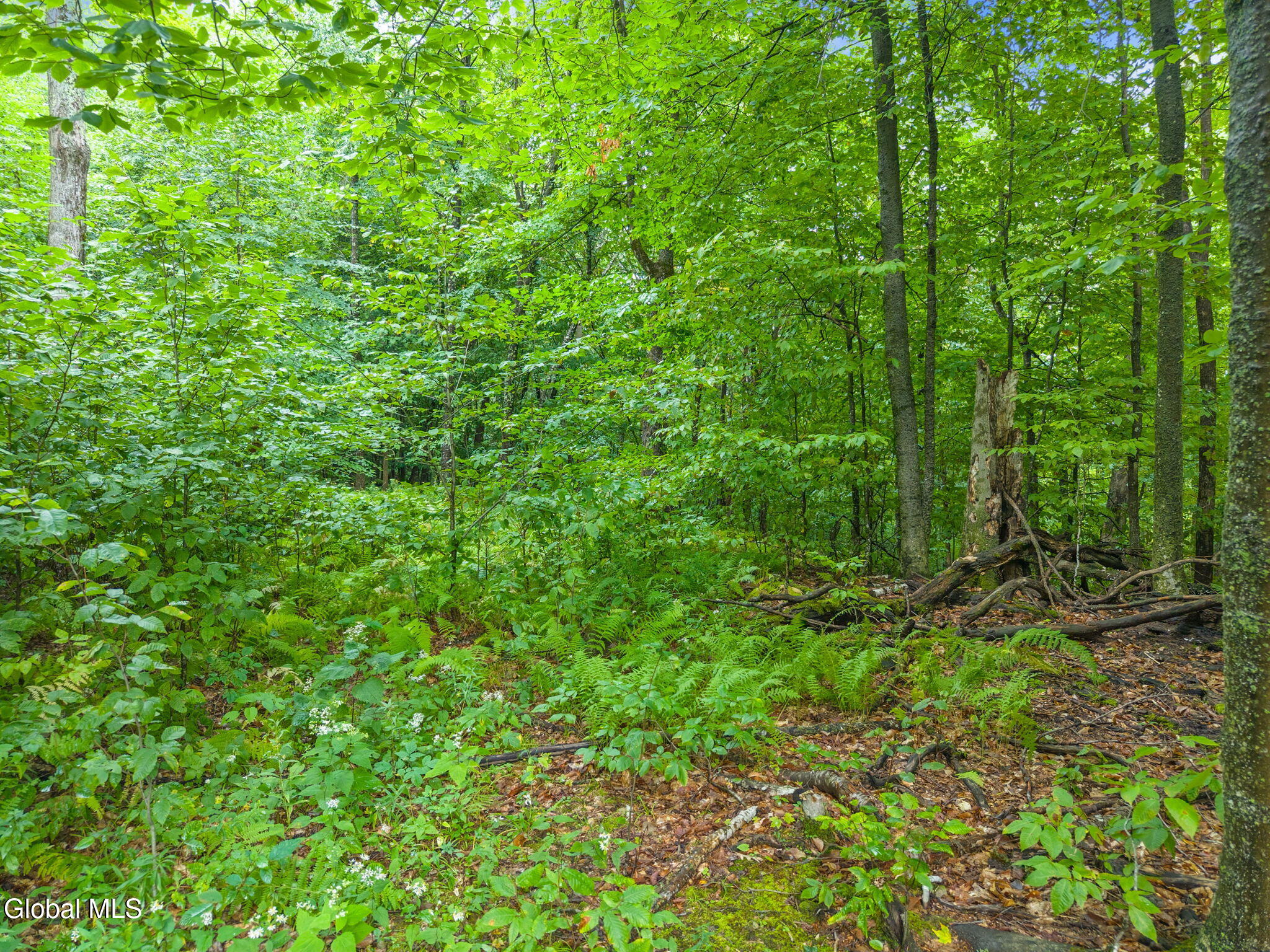 113 Last Chance Lane Richmondville NY 12149