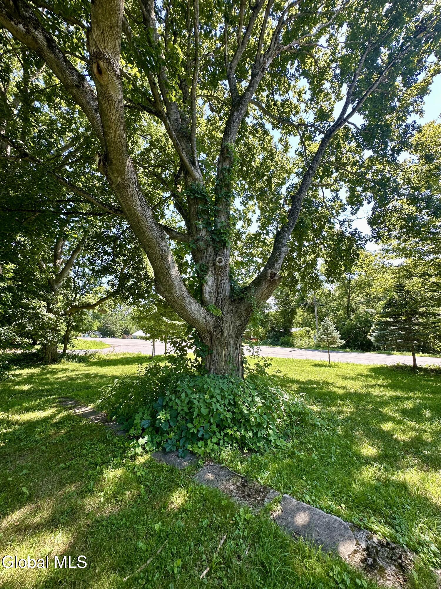 6176 New York 5 Palatine Bridge NY 13428