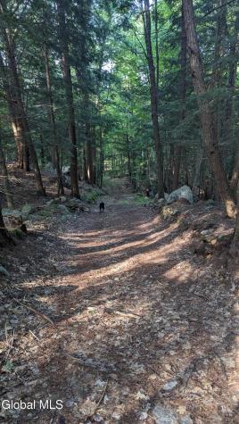 2243 N Shore Road Hadley NY 12835