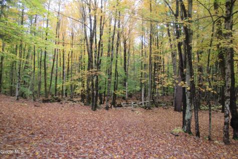 2243 N Shore Road Hadley NY 12835