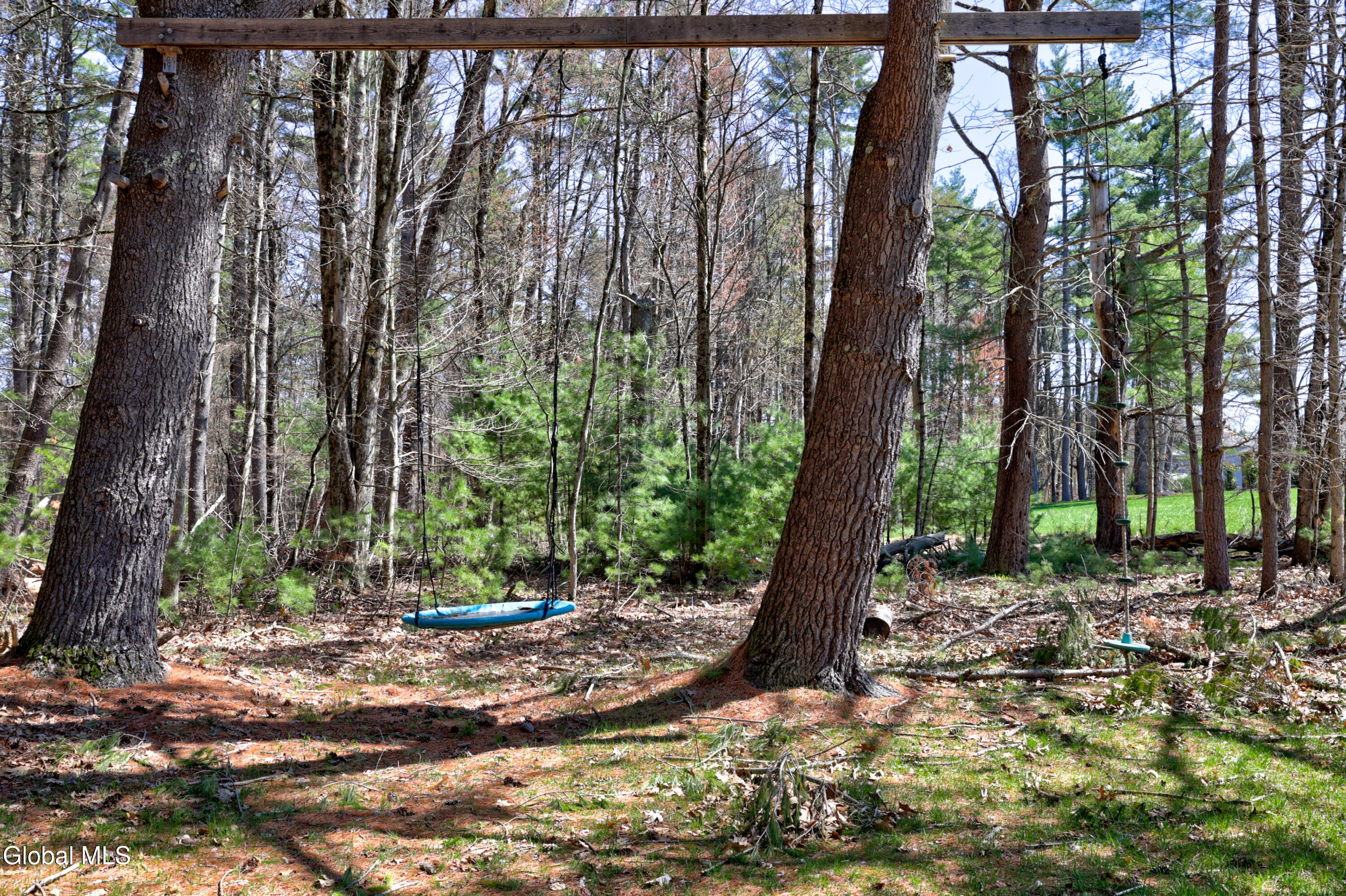 6 Pine Bark Place Wilton NY 12866