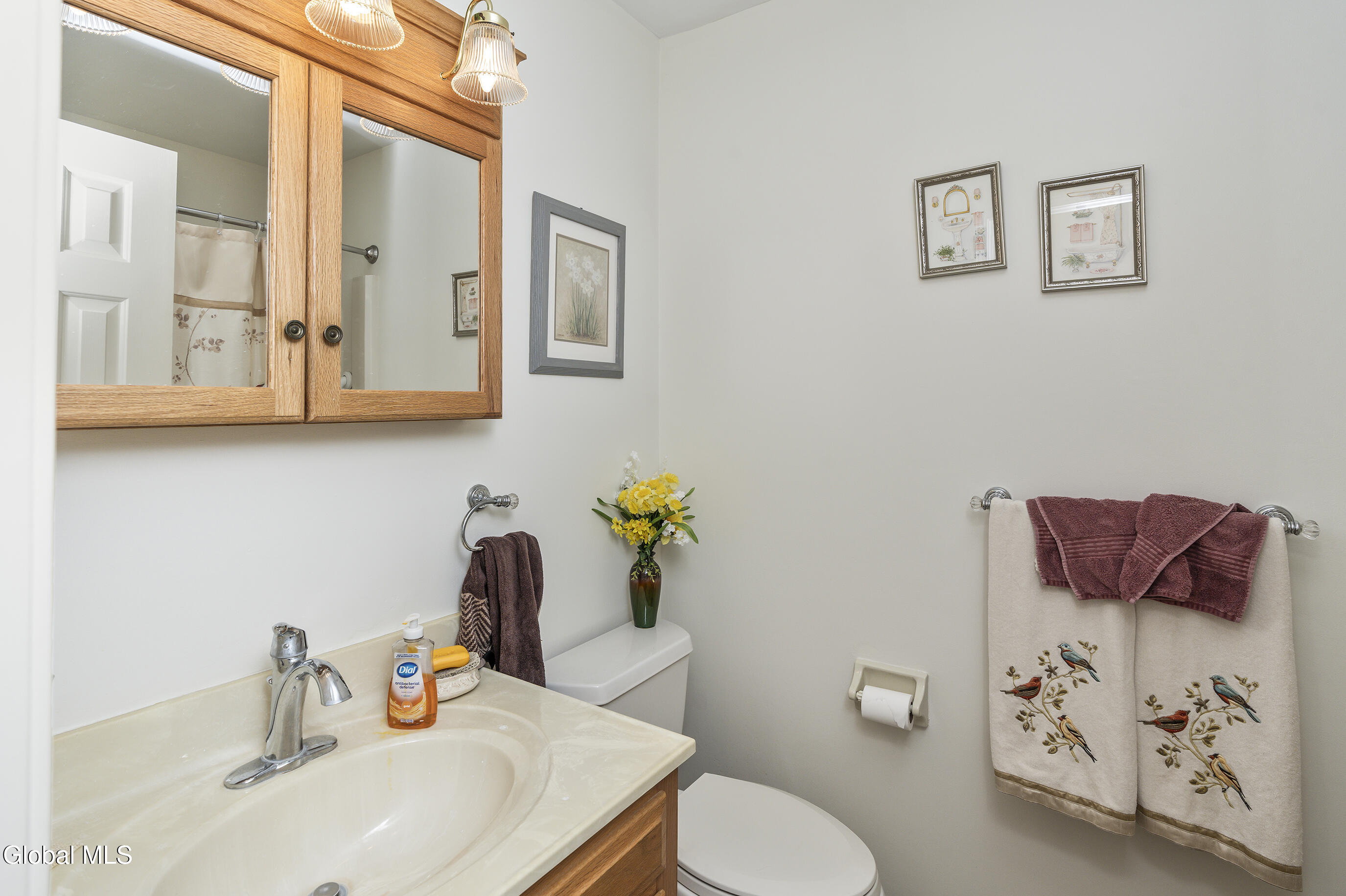 61 Longmeadow Drive Delmar NY 12054