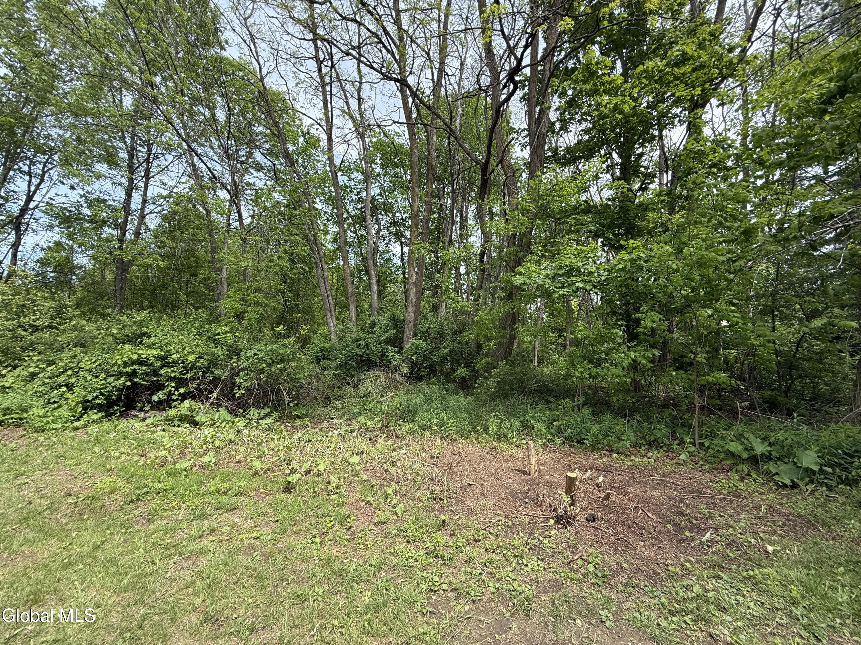 1388 Midline Road Amsterdam NY 12010