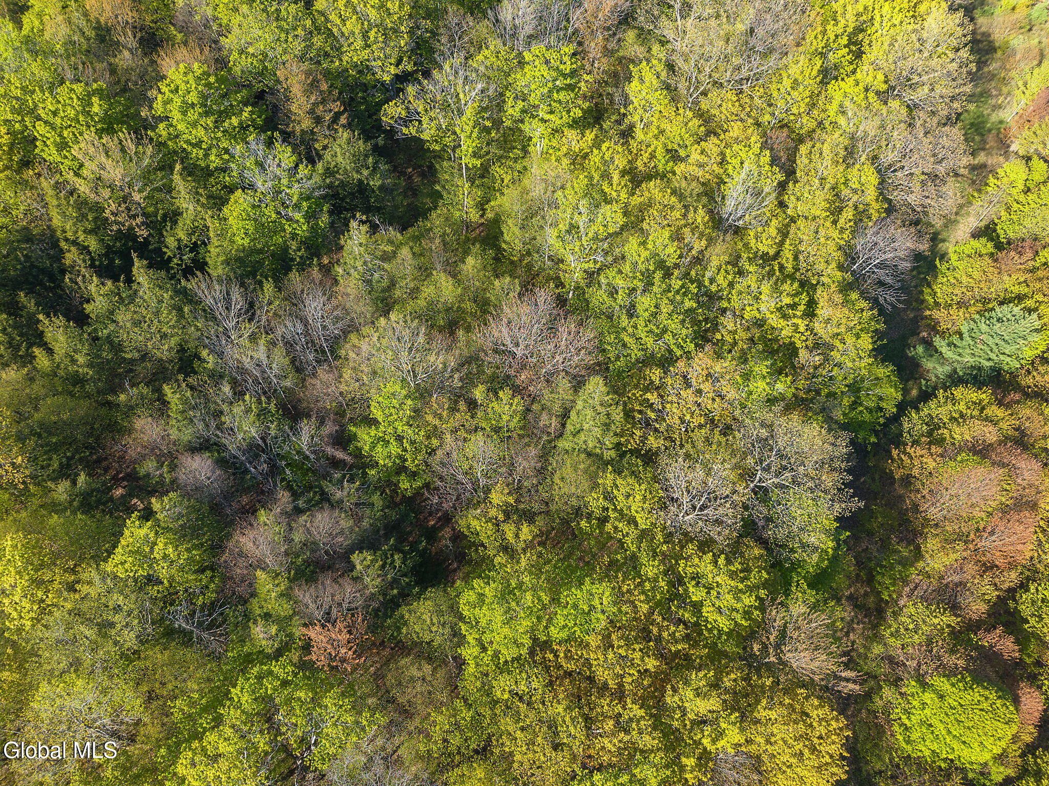 1054 Esperance Road Esperance NY 12066