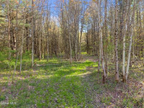 1054 Esperance Road Esperance NY 12066