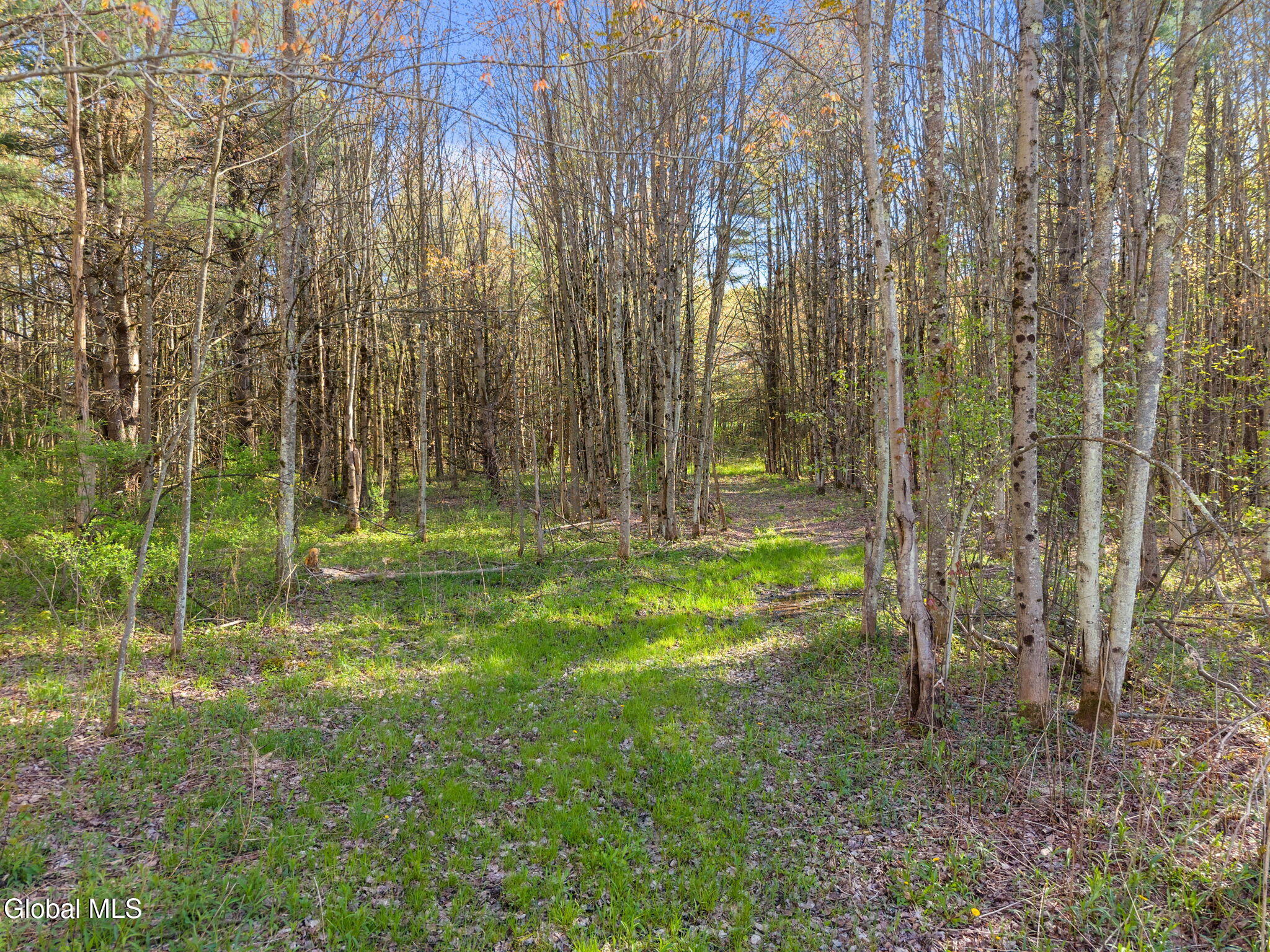 1054 Esperance Road Esperance NY 12066