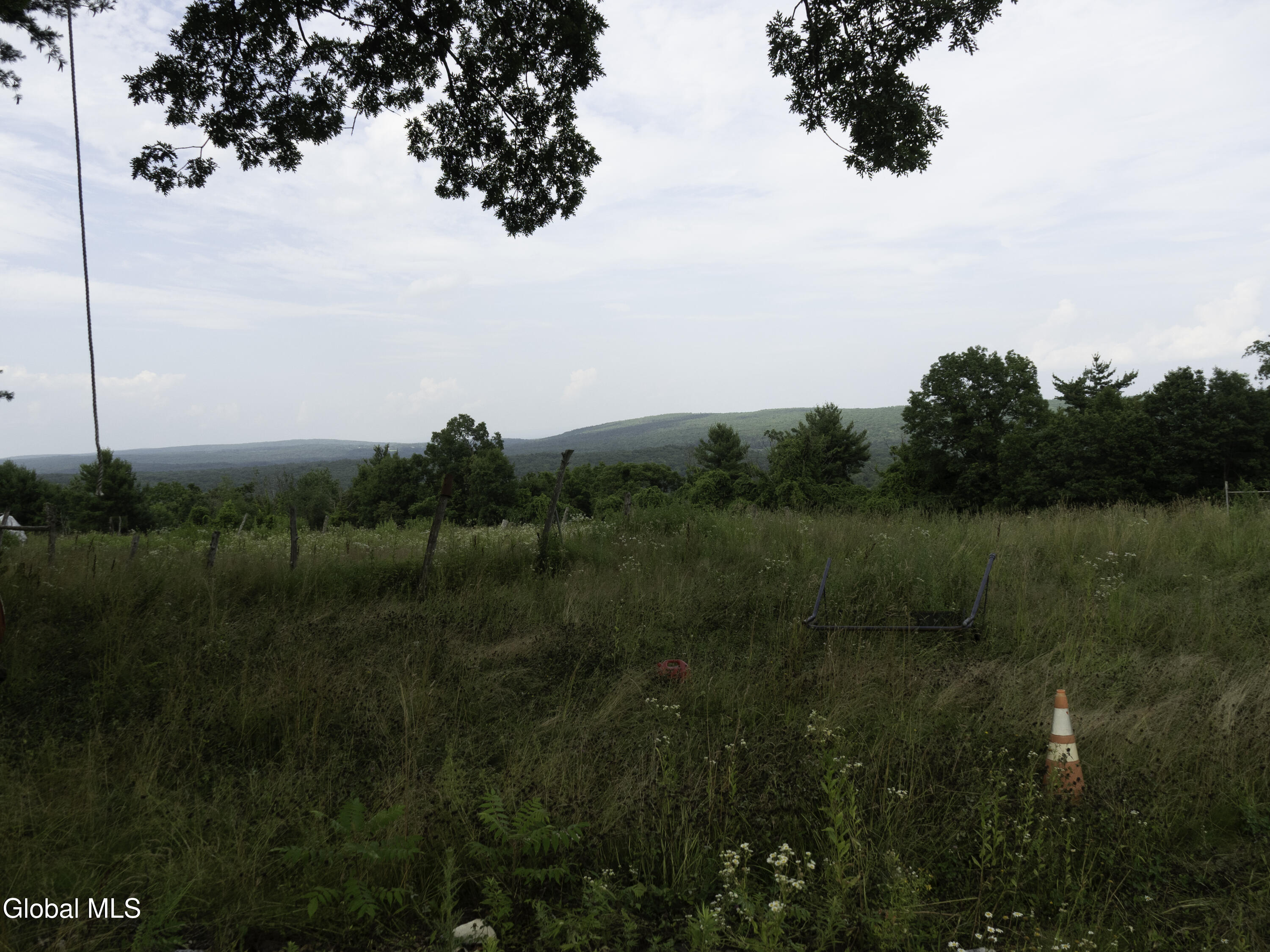 165 Conrad Lane Earlton NY 12058