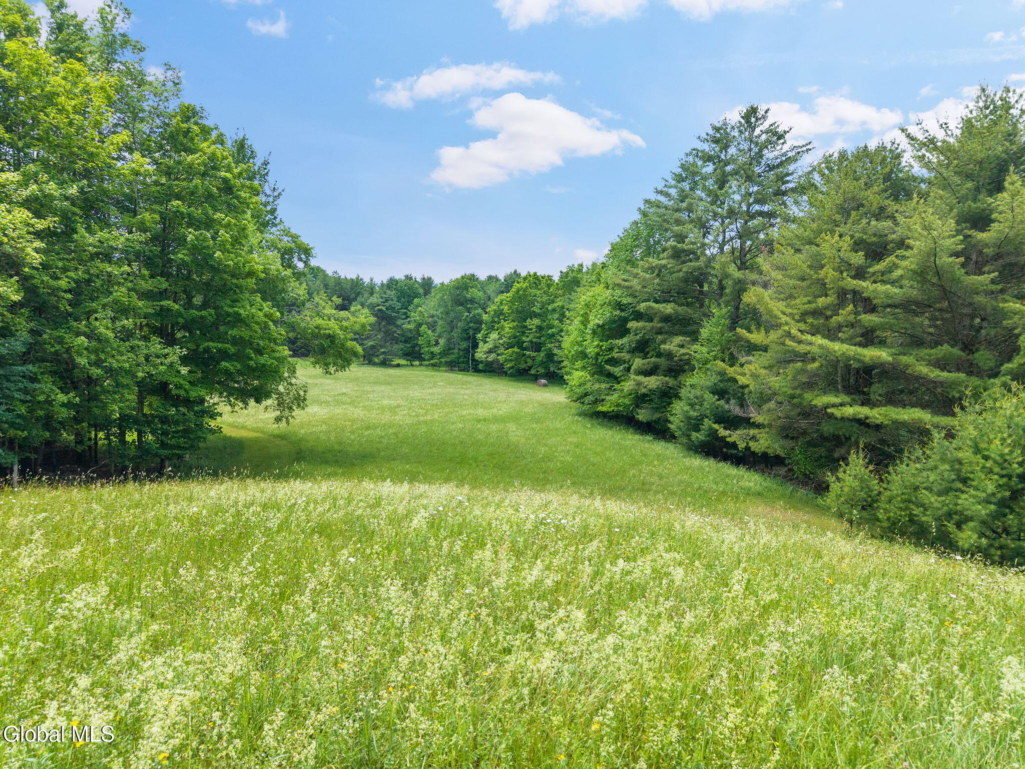 519 Webb Hill Road Davenport NY 13750