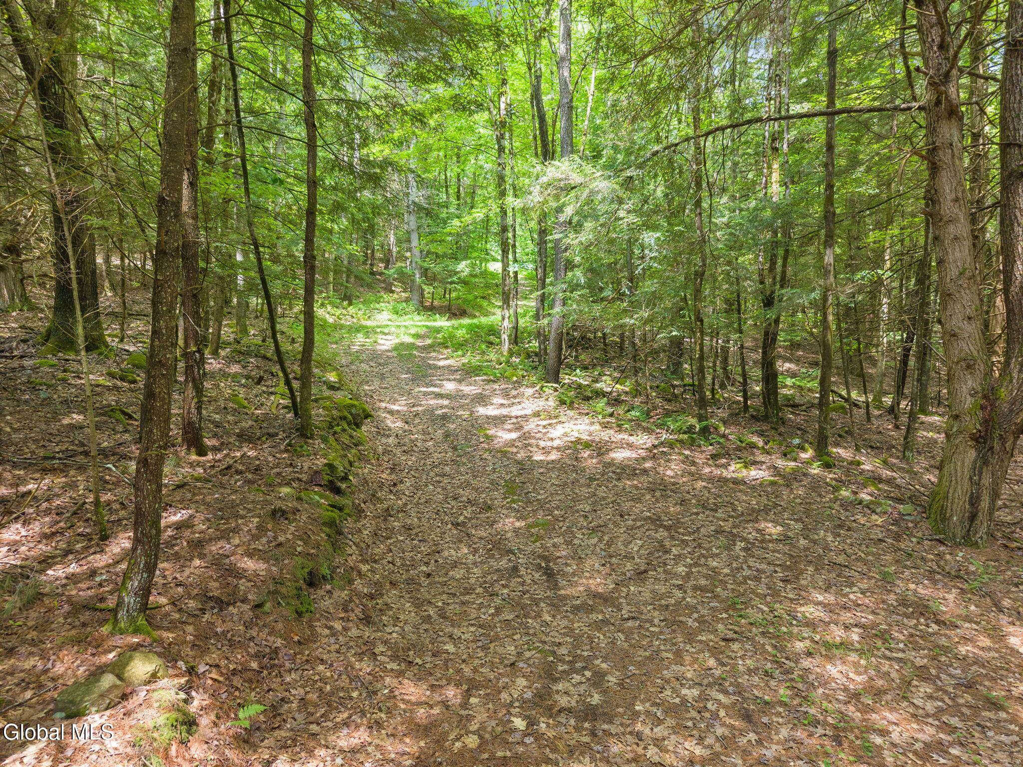 519 Webb Hill Road Davenport NY 13750