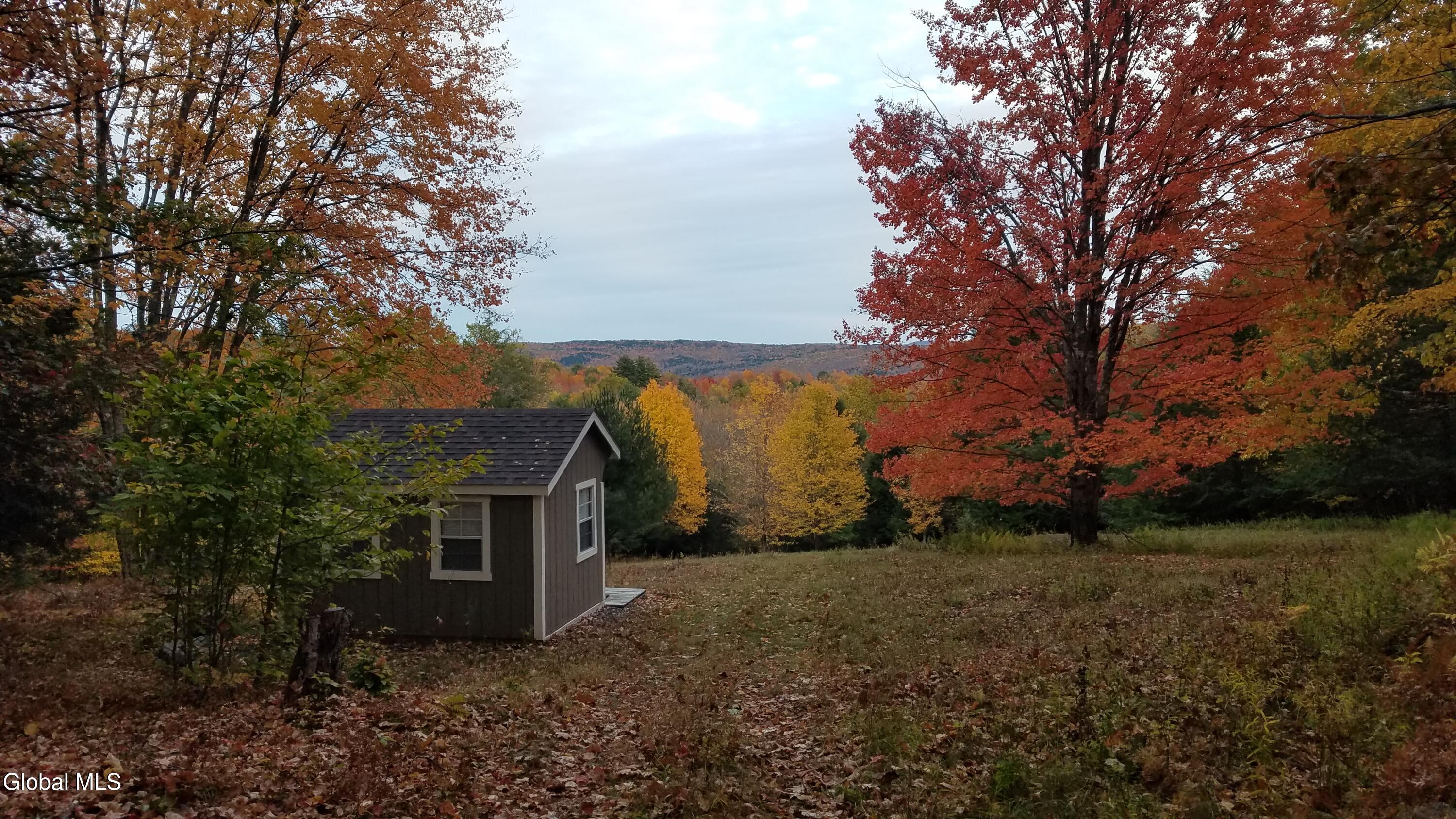 519 Webb Hill Road Davenport NY 13750