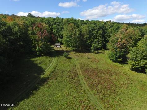 519 Webb Hill Road Davenport NY 13750