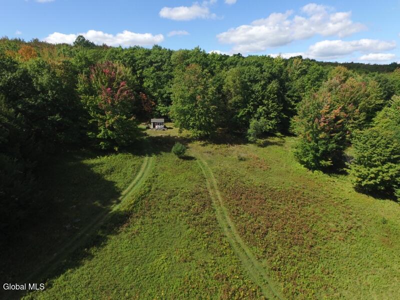 519 Webb Hill Road Davenport NY 13750