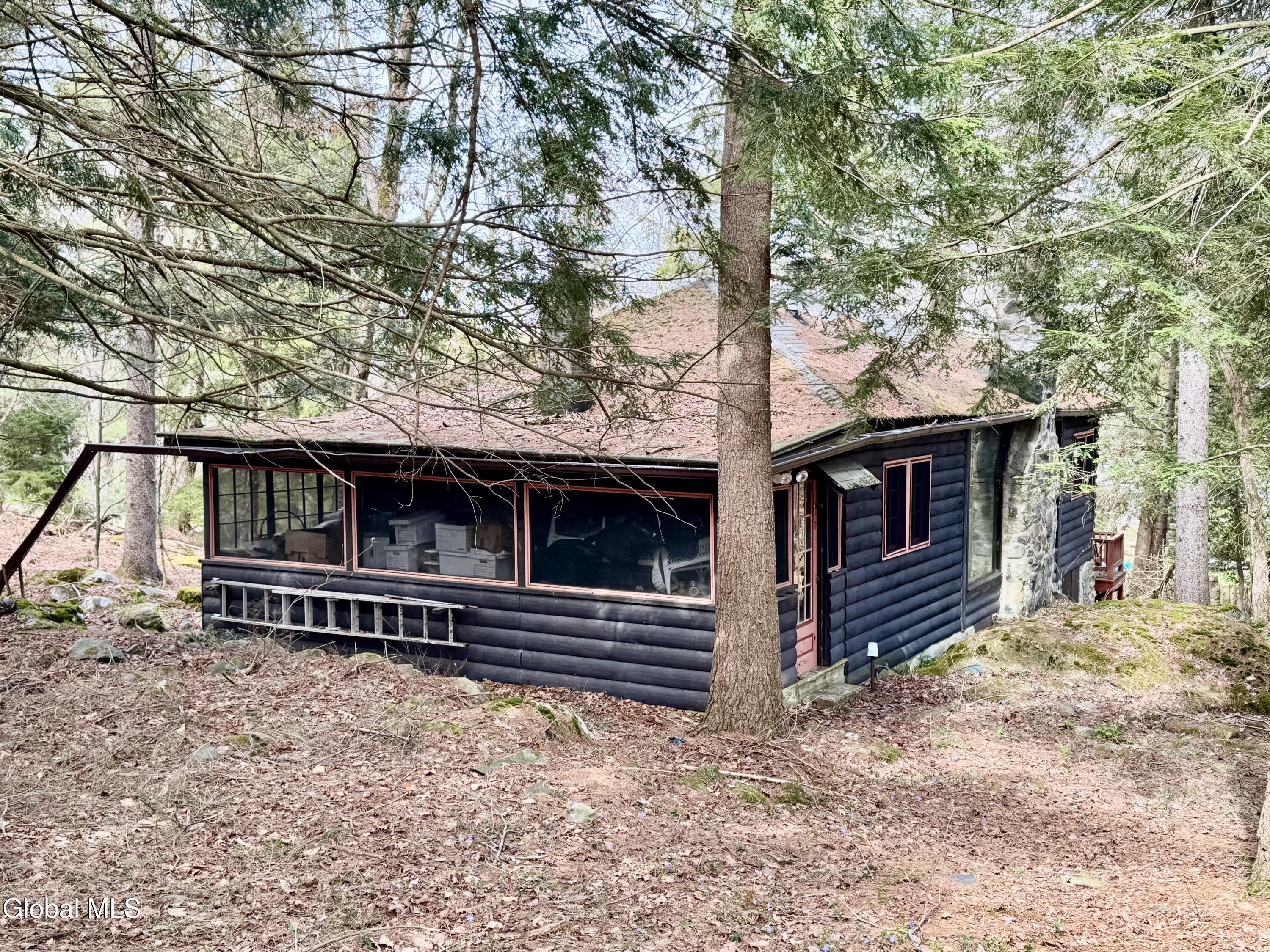 40 Pine Trail Sand Lake NY 12153