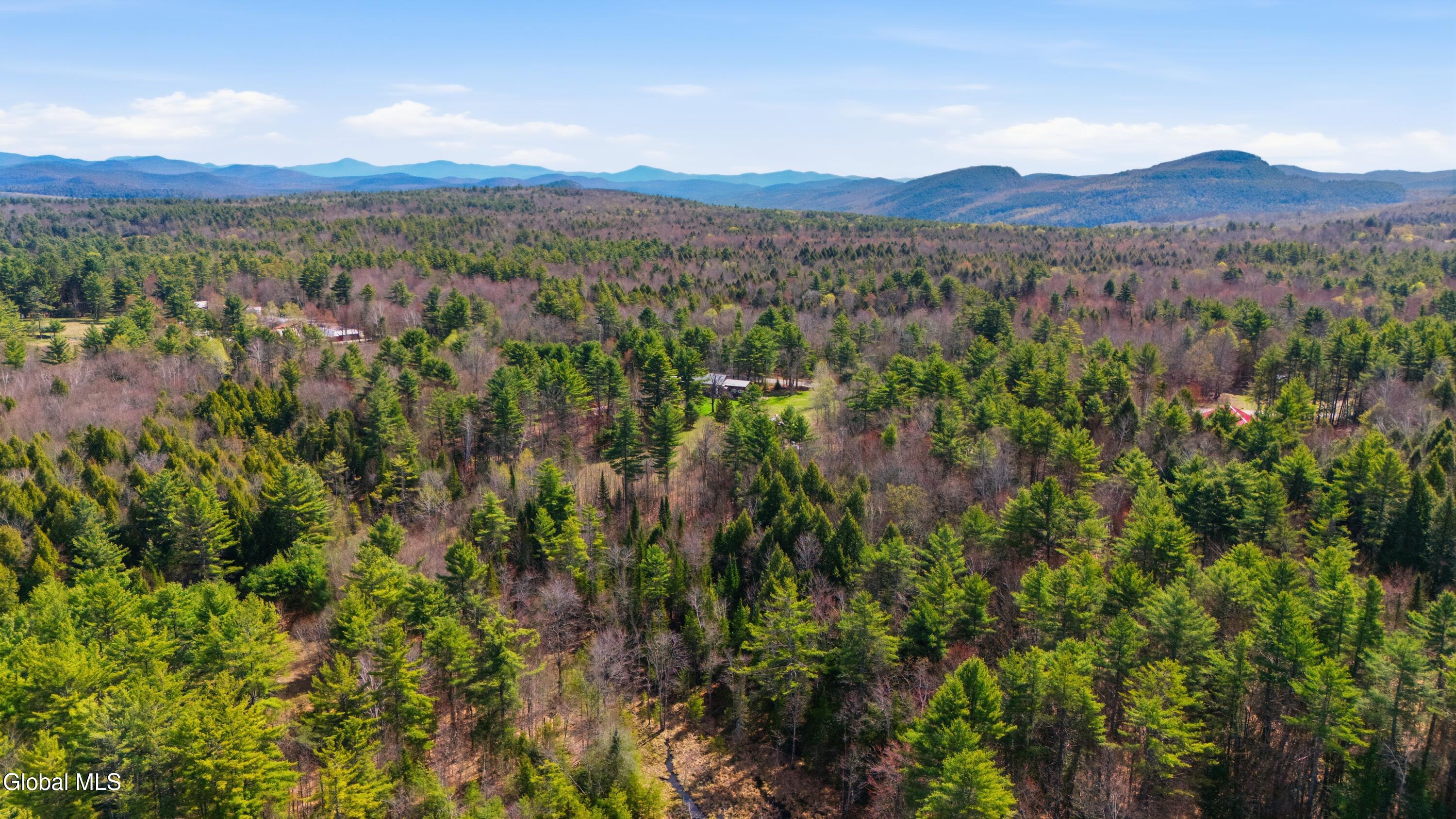 1018 High Street Athol NY 12810
