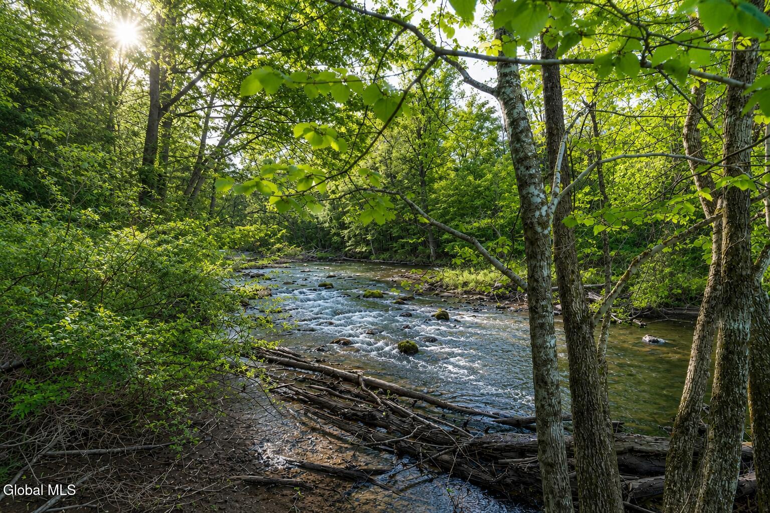 14 Young Road Middle Grove NY 12850