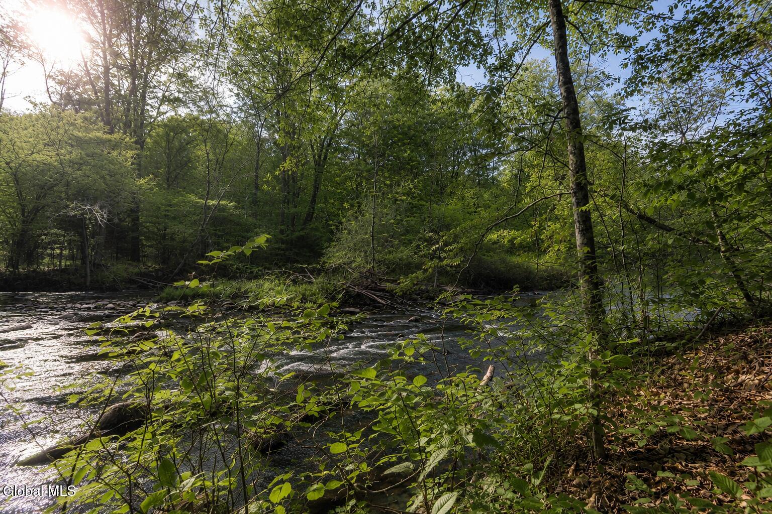 14 Young Road Middle Grove NY 12850