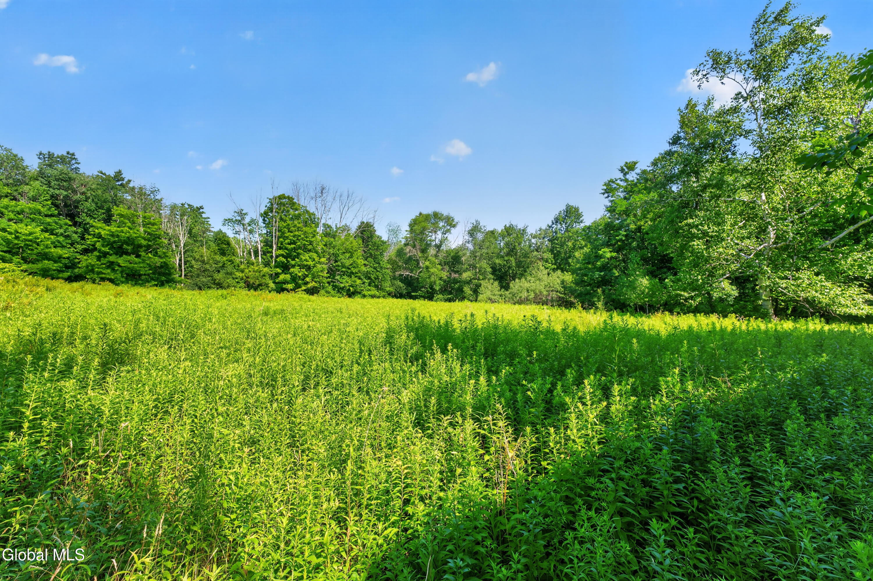 201 Presbyterian Hill Road Stephentown NY 12168