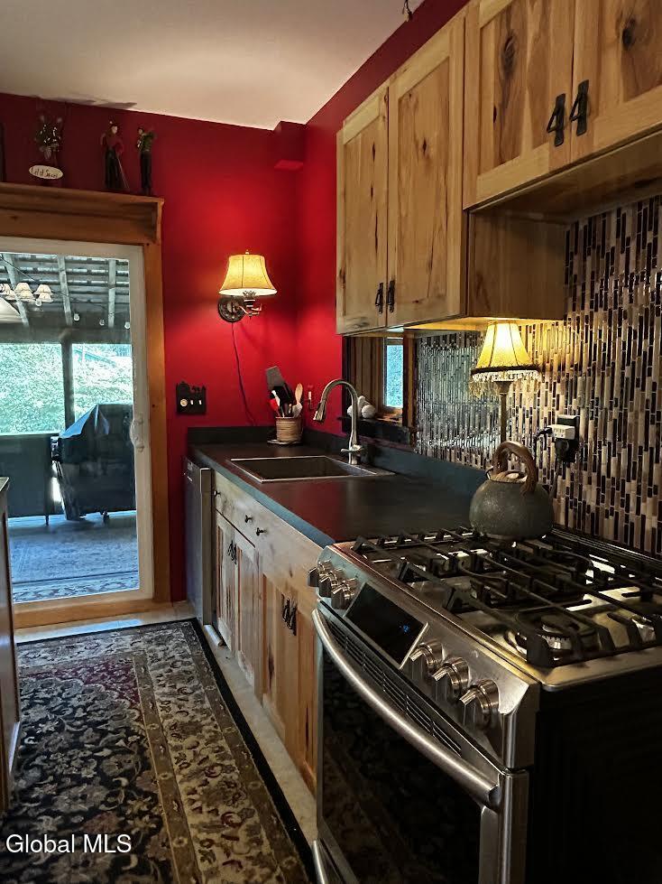 1577 State Route 28n Minerva NY 12851