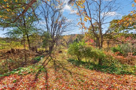 1432 Route 295 East Chatham NY 12060
