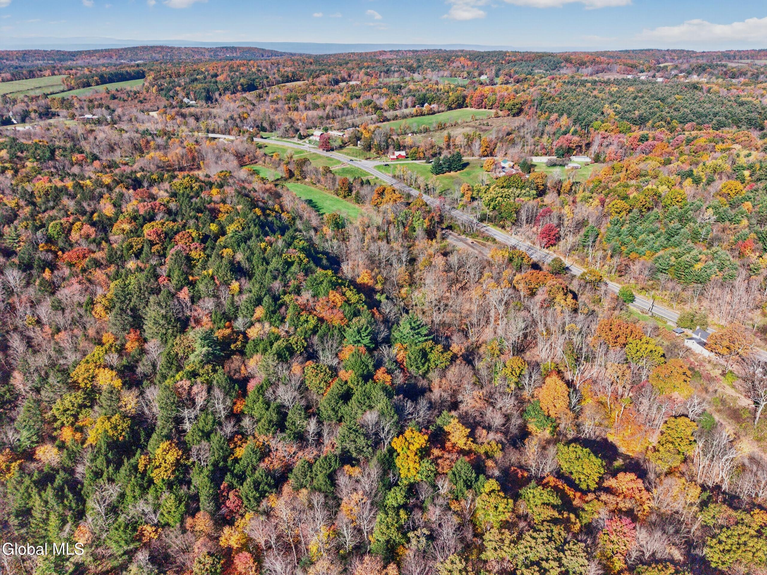 1432 Route 295 East Chatham NY 12060