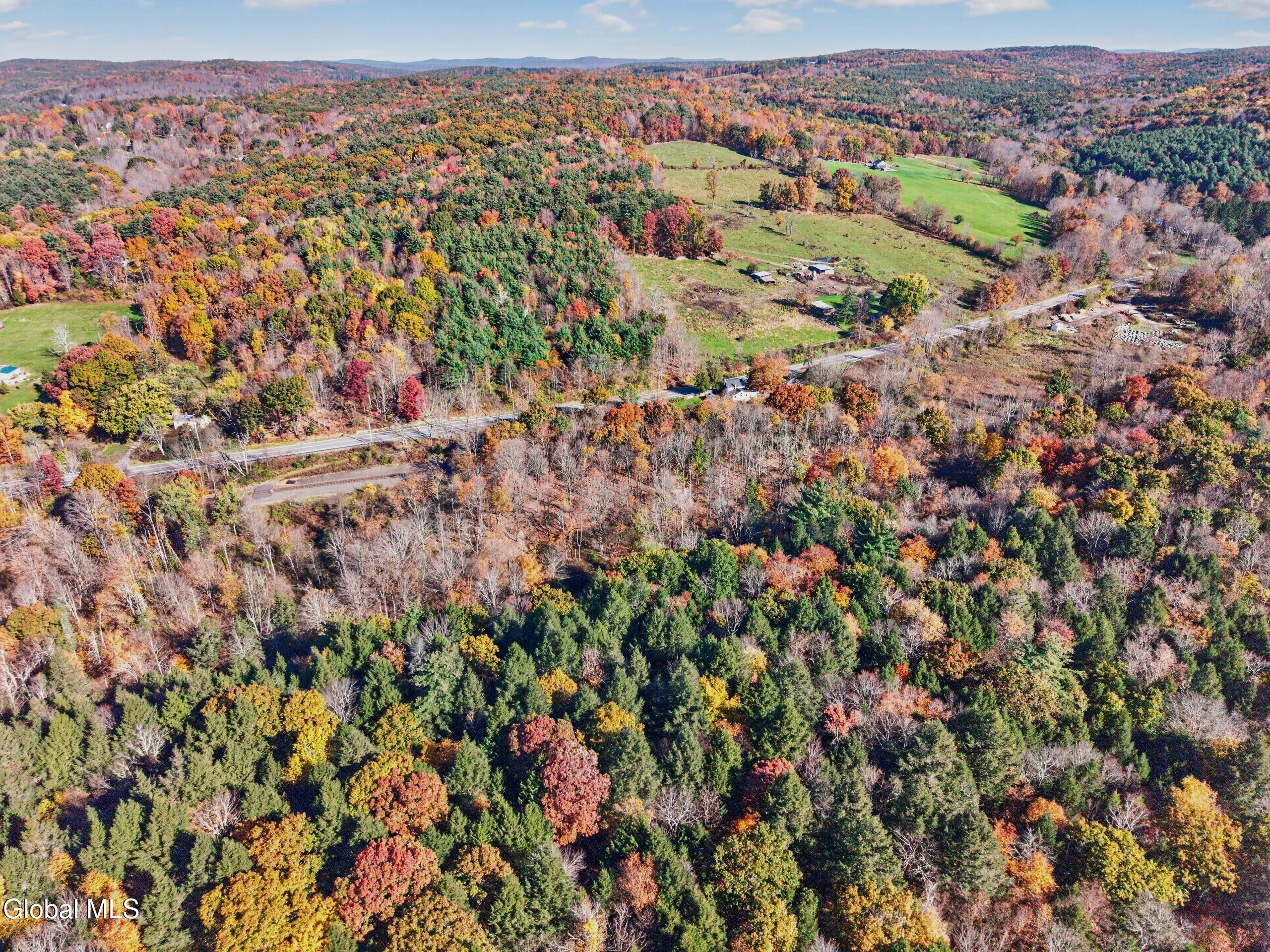 1432 Route 295 East Chatham NY 12060