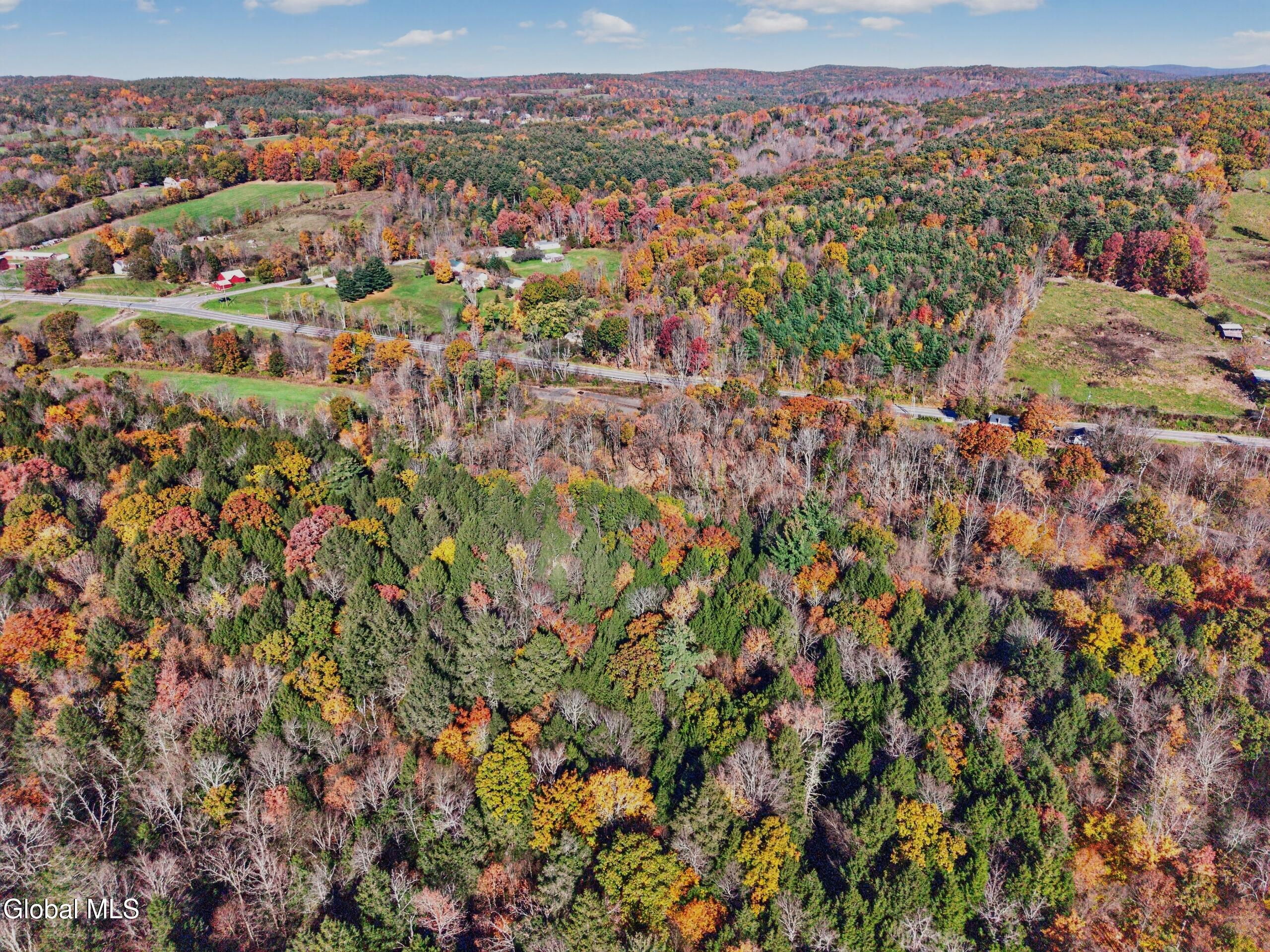 1432 Route 295 East Chatham NY 12060