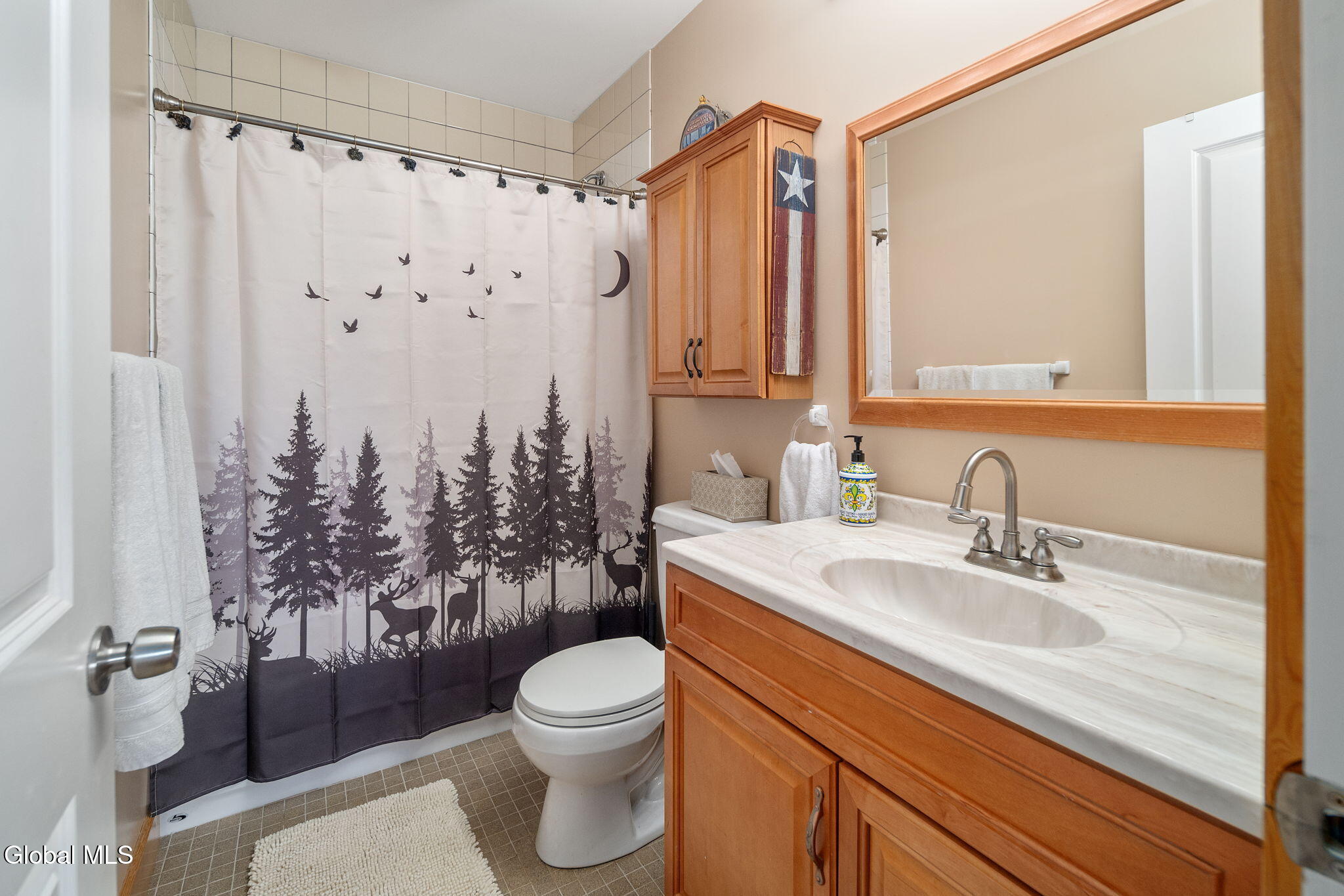 415 High Pine Meadows Road Middleburgh NY 12122