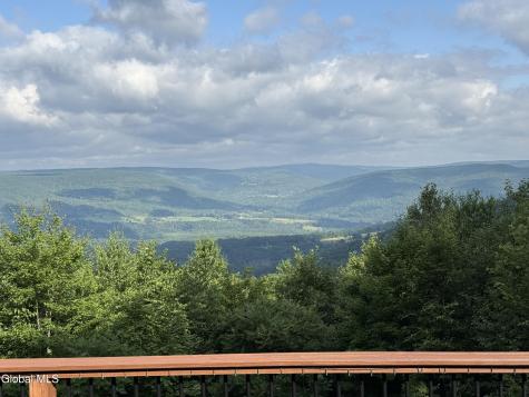 415 High Pine Meadows Road Middleburgh NY 12122