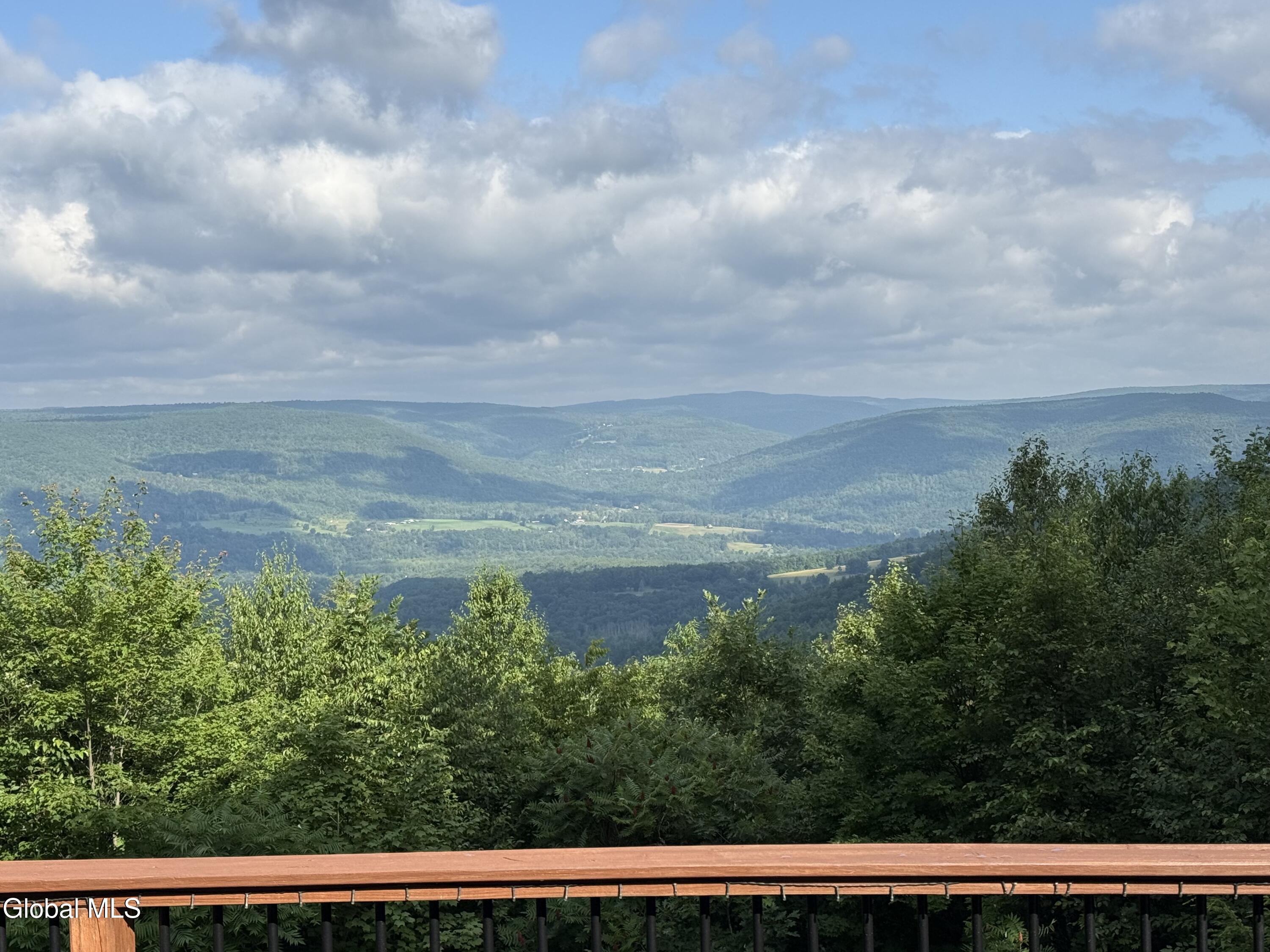 415 High Pine Meadows Road Middleburgh NY 12122