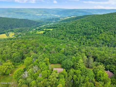 415 High Pine Meadows Road Middleburgh NY 12122