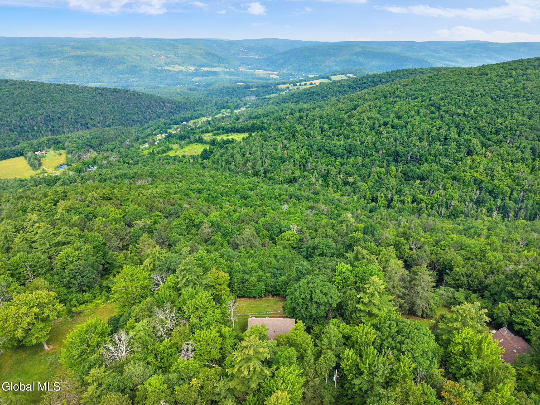 415 High Pine Meadows Road Middleburgh NY 12122