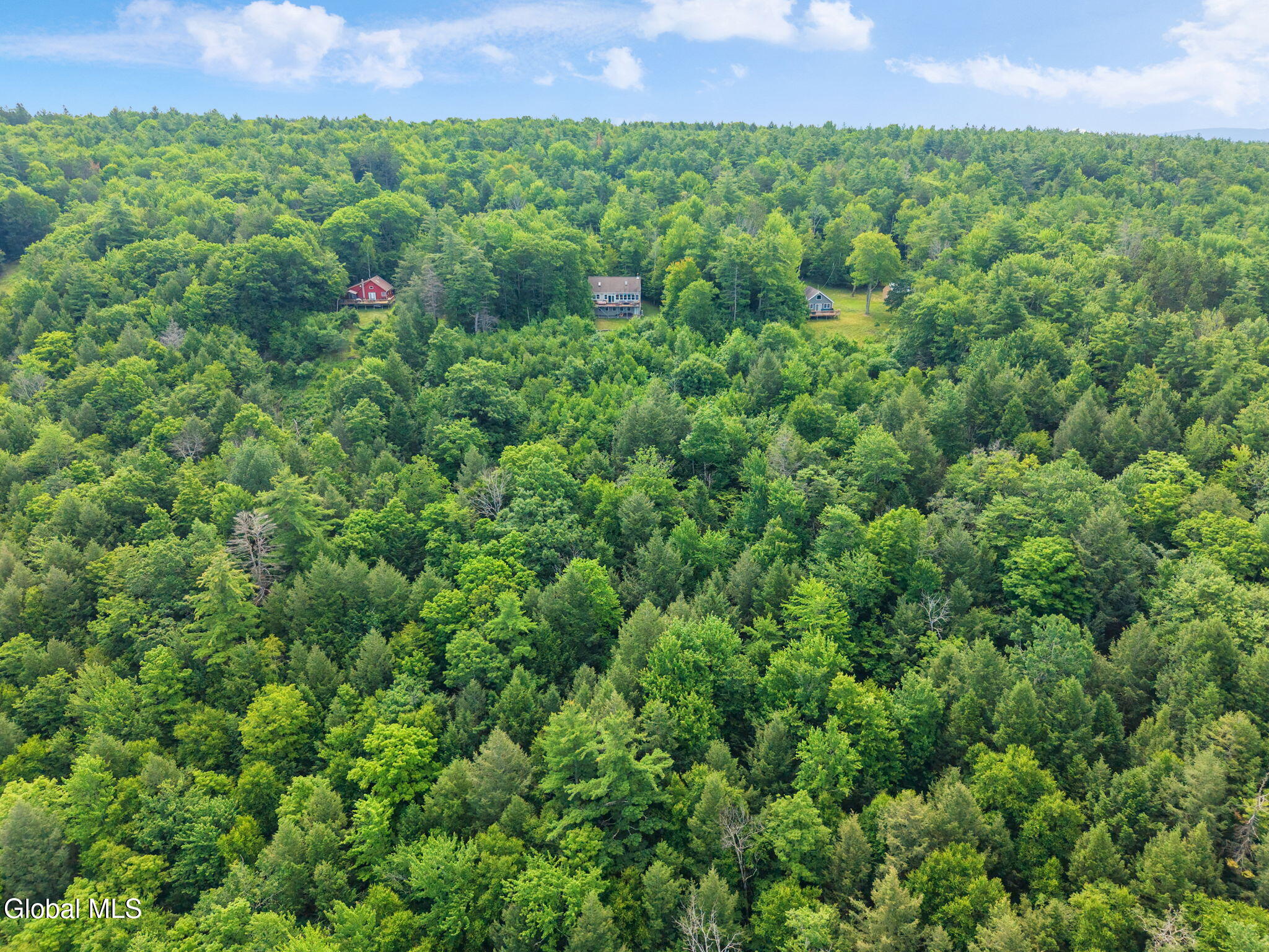 415 High Pine Meadows Road Middleburgh NY 12122