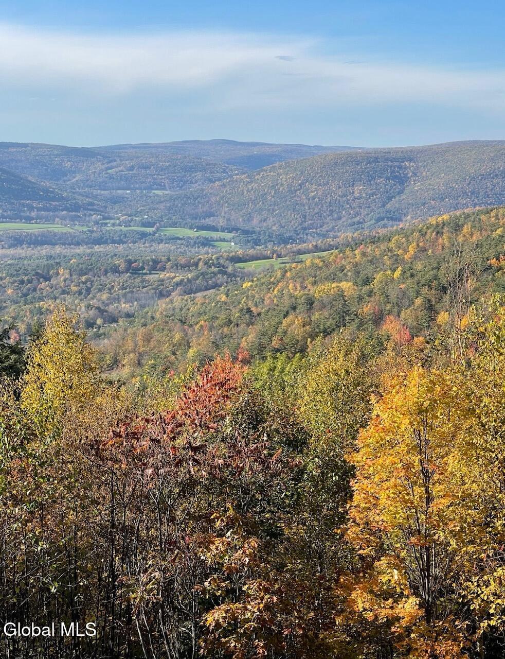 415 High Pine Meadows Road Middleburgh NY 12122