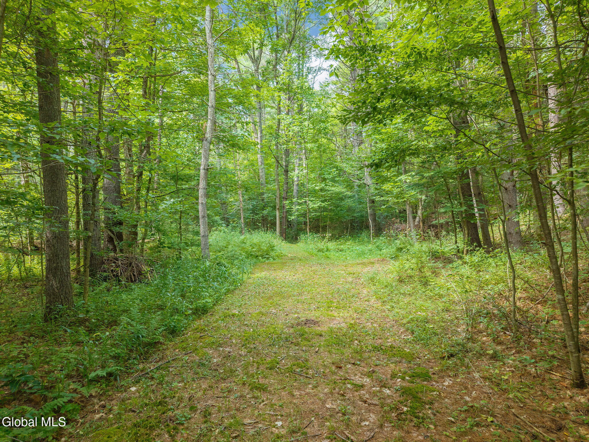 562 Quarry Road North Blenheim NY 12131