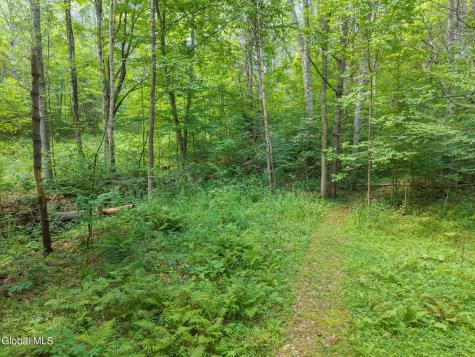 562 Quarry Road North Blenheim NY 12131