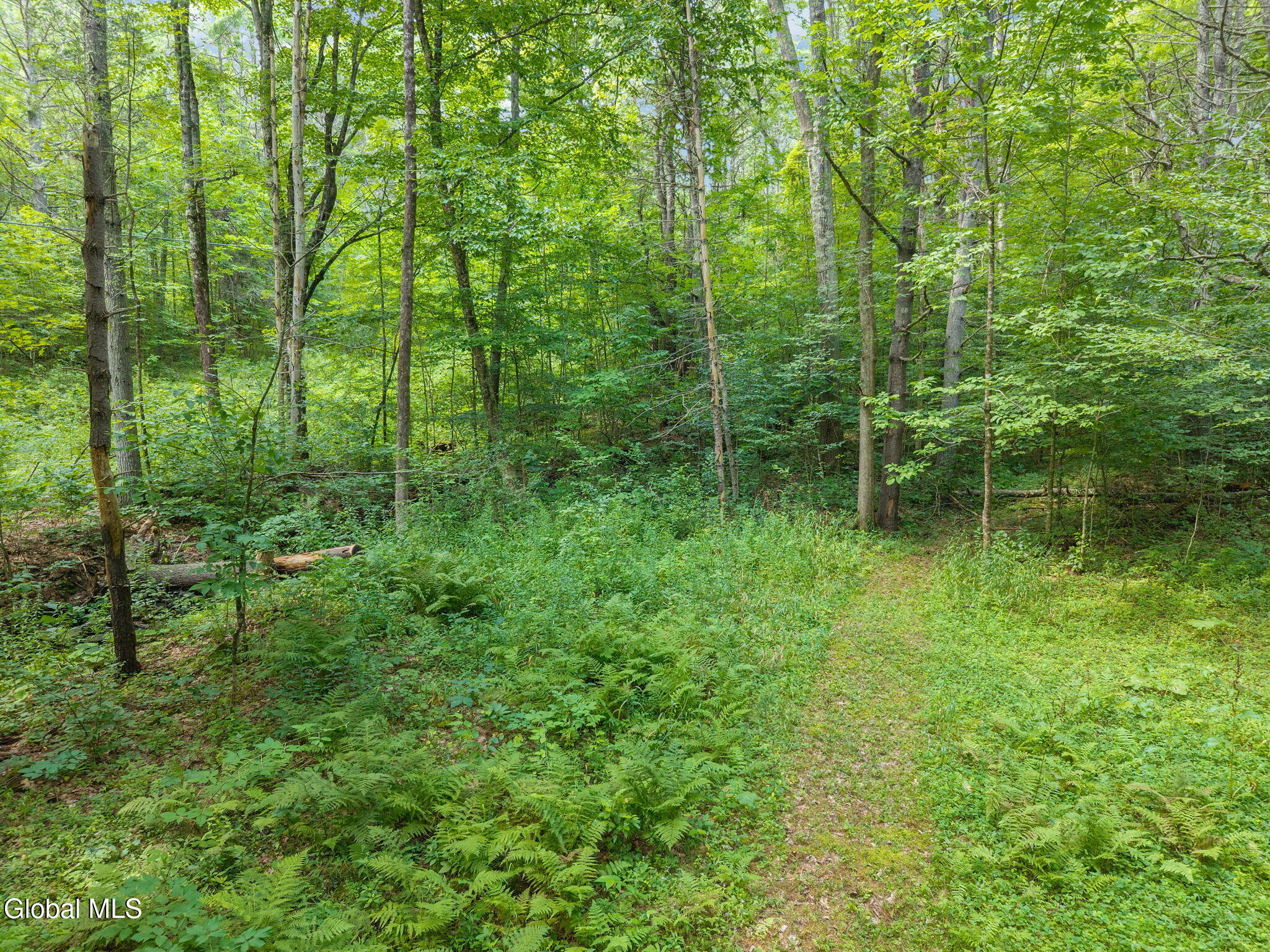 562 Quarry Road North Blenheim NY 12131