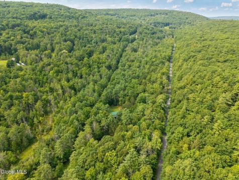 562 Quarry Road North Blenheim NY 12131