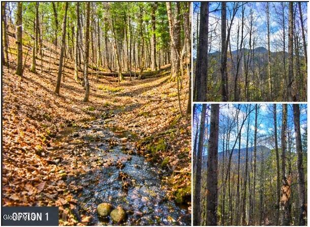 1993 N Garnet Lake Road Johnsburg NY 12843